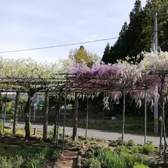 愛の花園