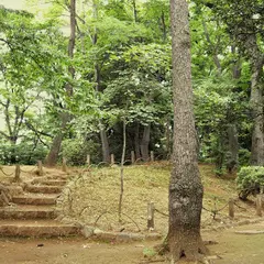 世田谷城阯公園