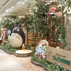 どんぐり共和国