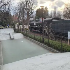 世田谷公園スケートボード広場