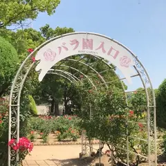 RSKバラ園
