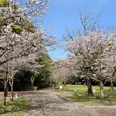 天神山公園