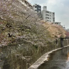 〒153-0051 東京都目黒区上目黒１丁目２２