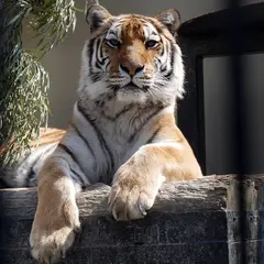 京都市動物園 もうじゅうワールド