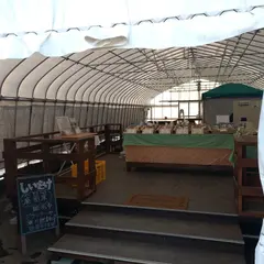 遠藤しいたけファーム直売所