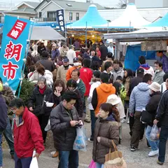 三崎朝市