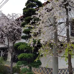 橘倉酒造