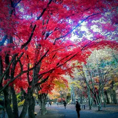 函館市見晴公園管理事務所