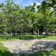 大通公園