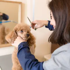 京都わんこのお宿 薫風舎kumpoosha