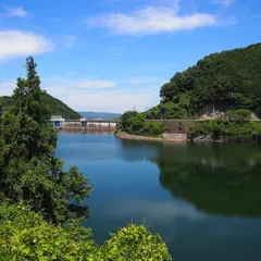 青蓮寺湖