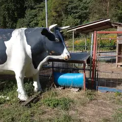 大橋牧場