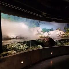 諫早ゆうゆうランド 干拓の里 むつごろう水族館