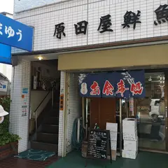 はまゆう