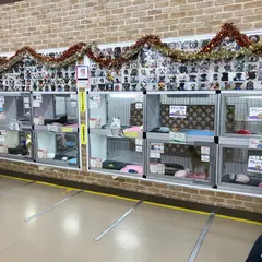 ペットプラザ相模原小山店