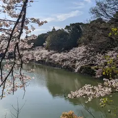 広瀬公園・亀池