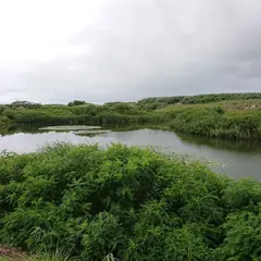 ひょうたん池