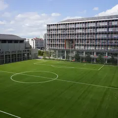 敬愛大学