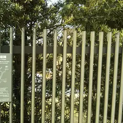 名勝旧大乗院庭園