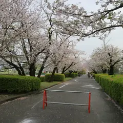 福島児童公園