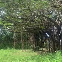 緑ケ丘公園