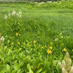 栂池自然園