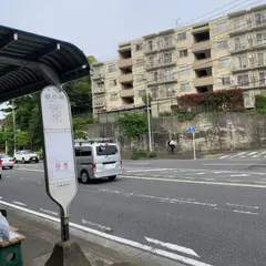 島の神（バス）