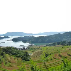 大浦棚田