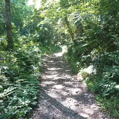稲島登山口