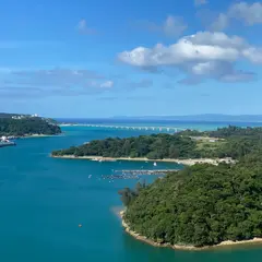 橋の駅リカリカワルミ