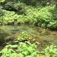 塩釜の冷泉