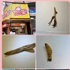 pad GALLERY