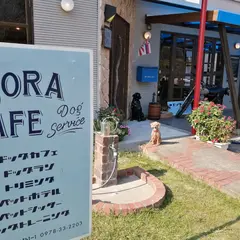 SORAcafe