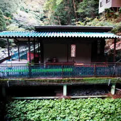 丸岩安藤わさび店 - 浄蓮の滝売店
