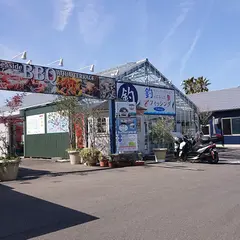 徳島新鮮なっとく市