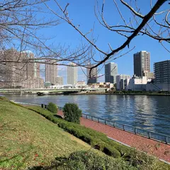隅田川テラス