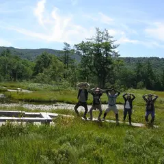 尾瀬の高山植物群落