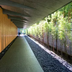 Museum nezu