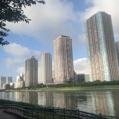 〒103-0004 東京都中央区東日本橋３丁目