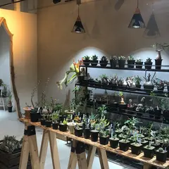 bio plants（ビオプランツ）