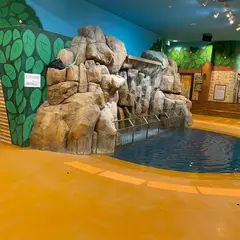 ソユー ひみつの森