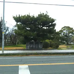 芝運動公園