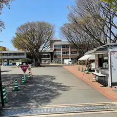 十文字学園女子大学