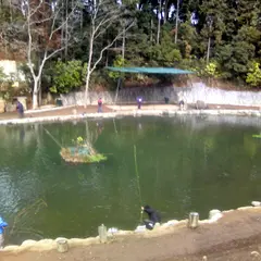 釣パラダイス