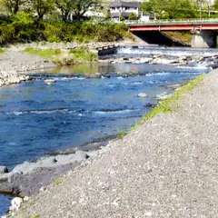 桂川河川公園