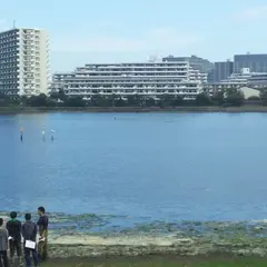 秋津