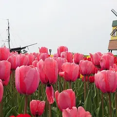 サラキ岬