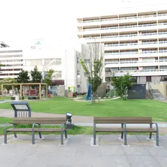 中央公園