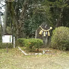 土舞台