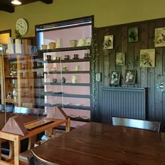Botanical Life Gallery sora